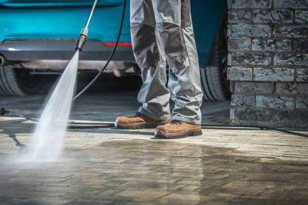 Animal Enclosure Cleaning in Mayfair, CA